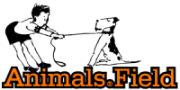 Animals Field